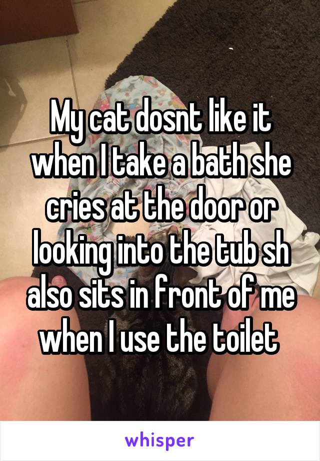 My cat dosnt like it when I take a bath she cries at the door or looking into the tub sh also sits in front of me when I use the toilet 