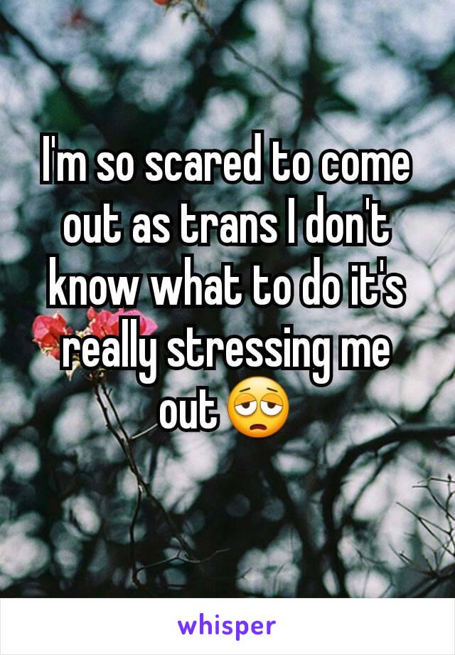 I'm so scared to come out as trans I don't know what to do it's really stressing me out😩