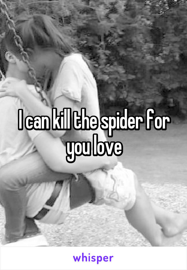 I can kill the spider for you love