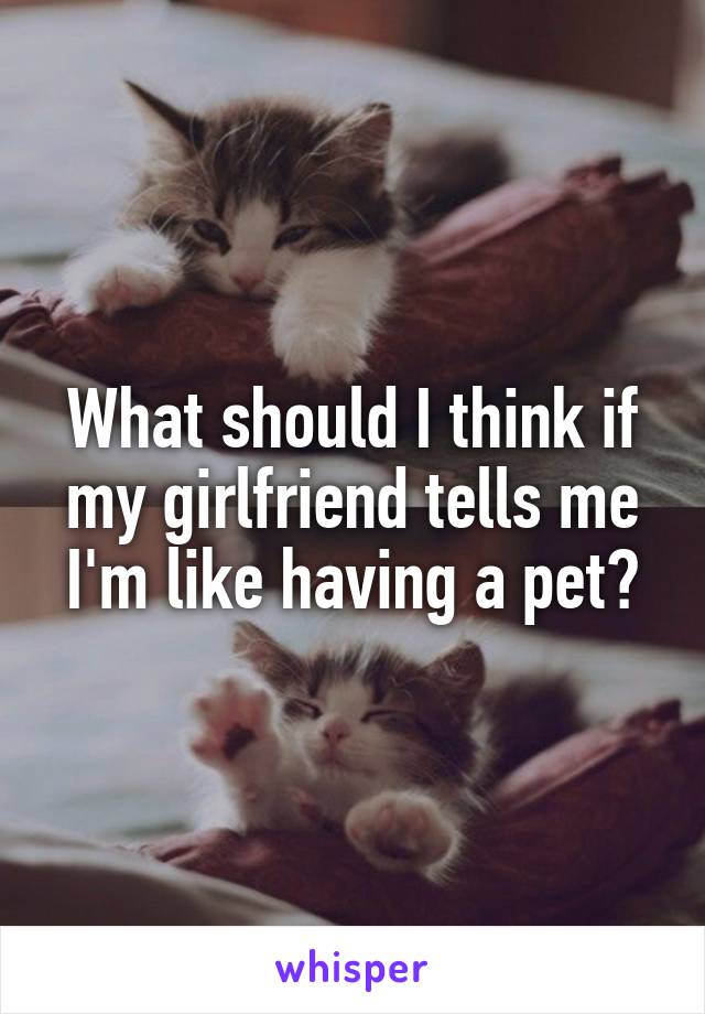 What should I think if my girlfriend tells me I'm like having a pet?