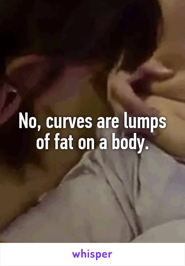 No, curves are lumps of fat on a body.