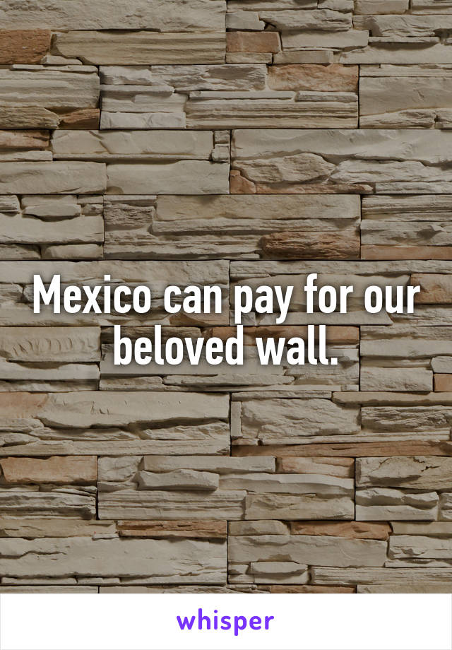 Mexico can pay for our beloved wall.