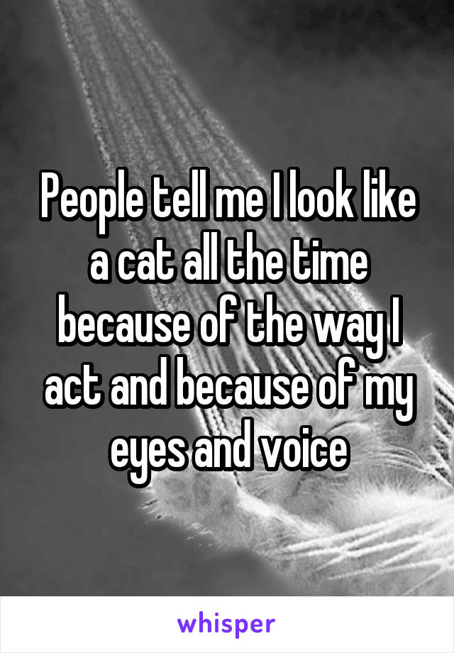 People tell me I look like a cat all the time because of the way I act and because of my eyes and voice