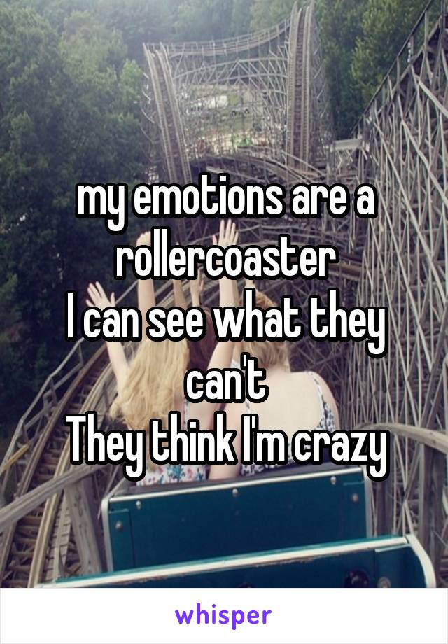 my emotions are a rollercoaster
I can see what they can't
They think I'm crazy