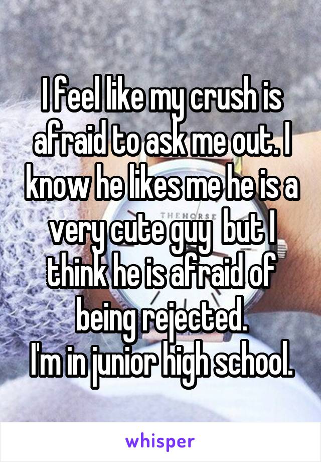 I feel like my crush is afraid to ask me out. I know he likes me he is a very cute guy  but I think he is afraid of being rejected.
I'm in junior high school.