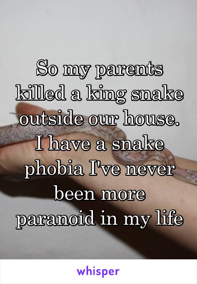 So my parents killed a king snake outside our house. I have a snake phobia I've never been more paranoid in my life