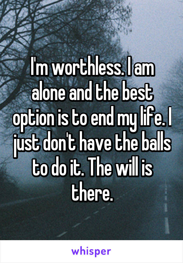 I'm worthless. I am alone and the best option is to end my life. I just don't have the balls to do it. The will is there.