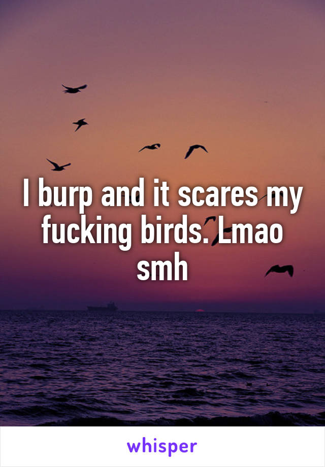 I burp and it scares my fucking birds. Lmao smh