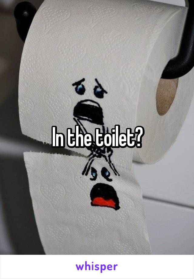In the toilet?