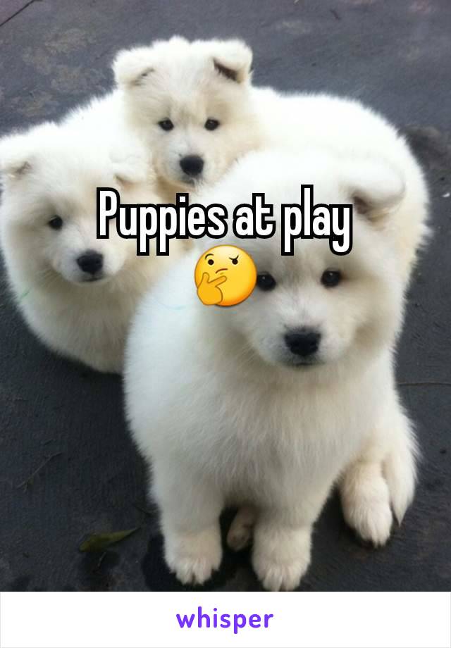 Puppies at play
🤔