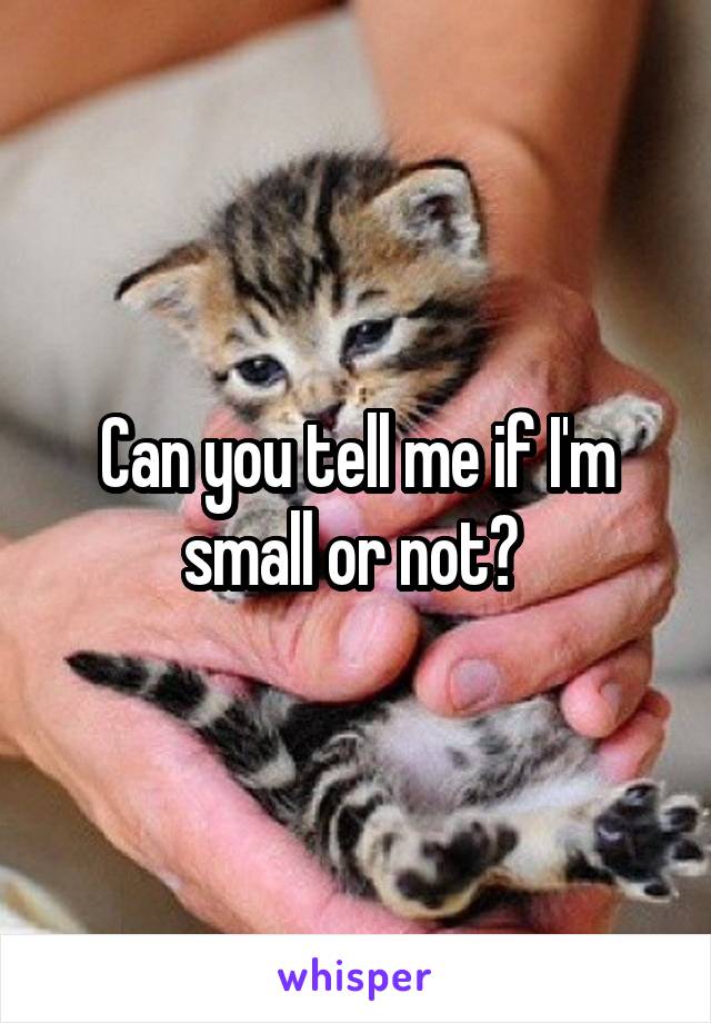 Can you tell me if I'm small or not? 