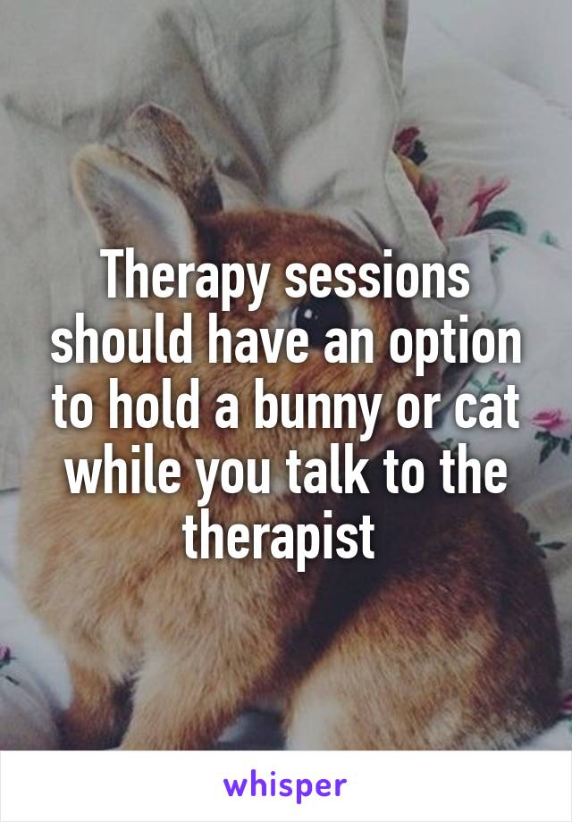 Therapy sessions should have an option to hold a bunny or cat while you talk to the therapist 