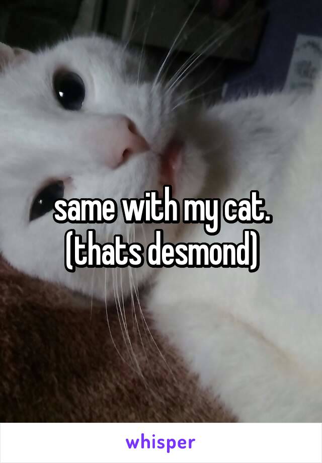 same with my cat. (thats desmond)