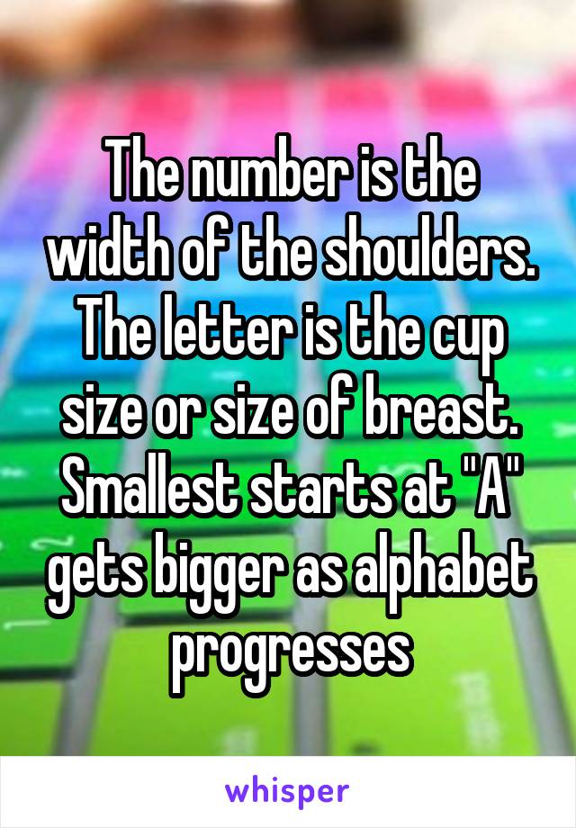 The number is the width of the shoulders. The letter is the cup size or size of breast.
Smallest starts at "A" gets bigger as alphabet progresses