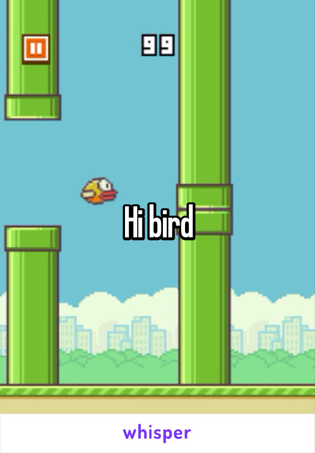 Hi bird