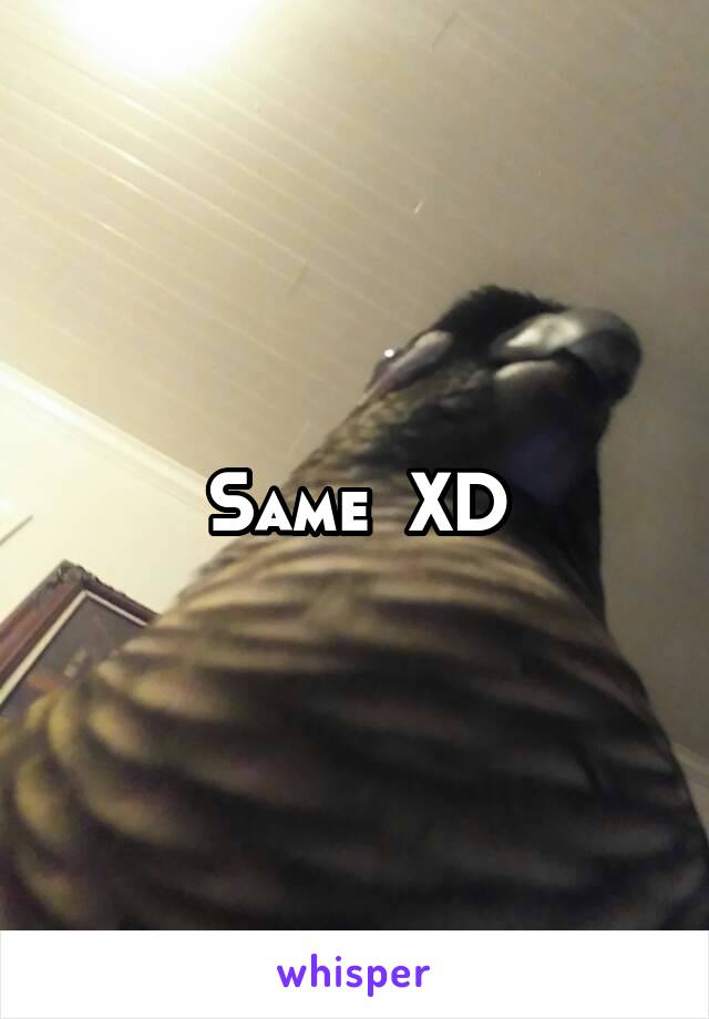 Same  XD