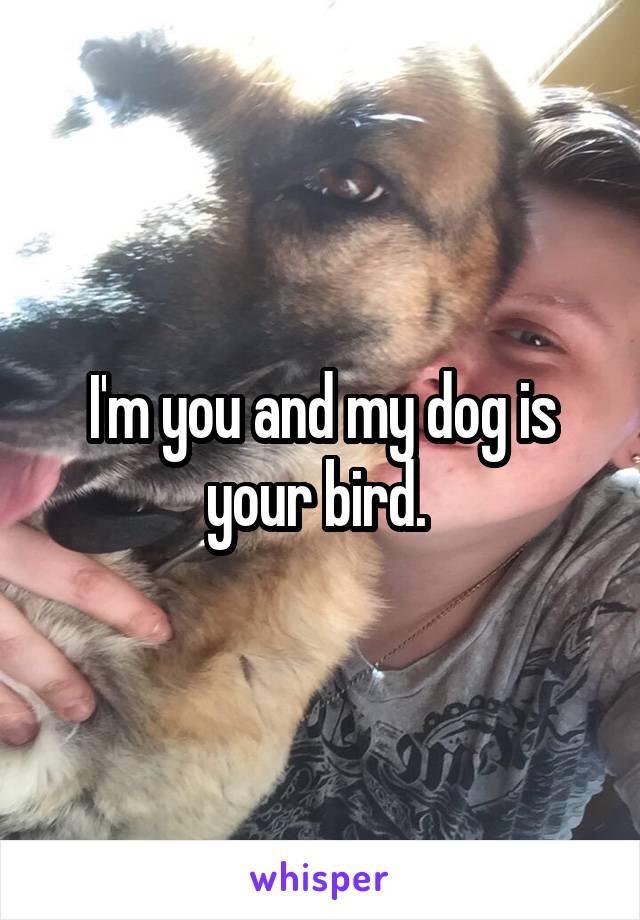 I'm you and my dog is your bird. 