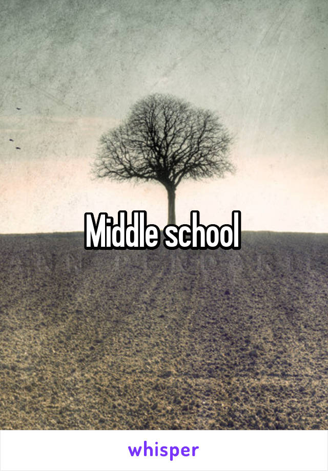 Middle school 