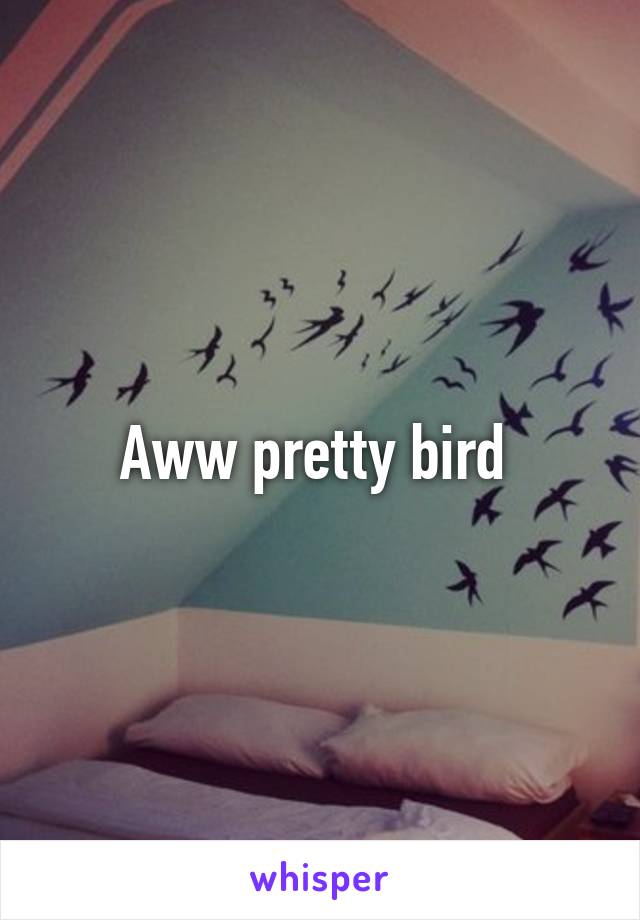Aww pretty bird 