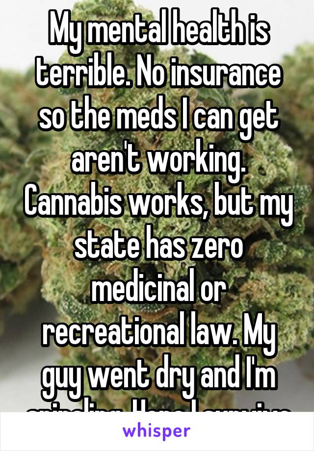 My mental health is terrible. No insurance so the meds I can get aren't working. Cannabis works, but my state has zero medicinal or recreational law. My guy went dry and I'm spiraling. Hope I survive