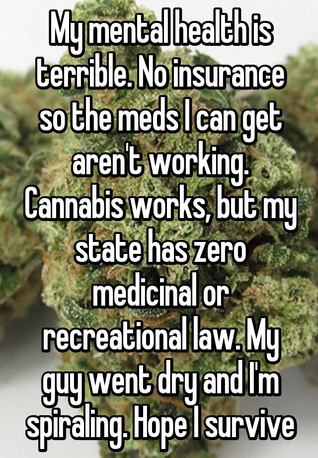 My mental health is terrible. No insurance so the meds I can get aren't working. Cannabis works, but my state has zero medicinal or recreational law. My guy went dry and I'm spiraling. Hope I survive