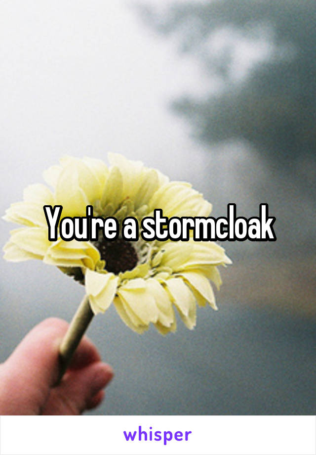 You're a stormcloak