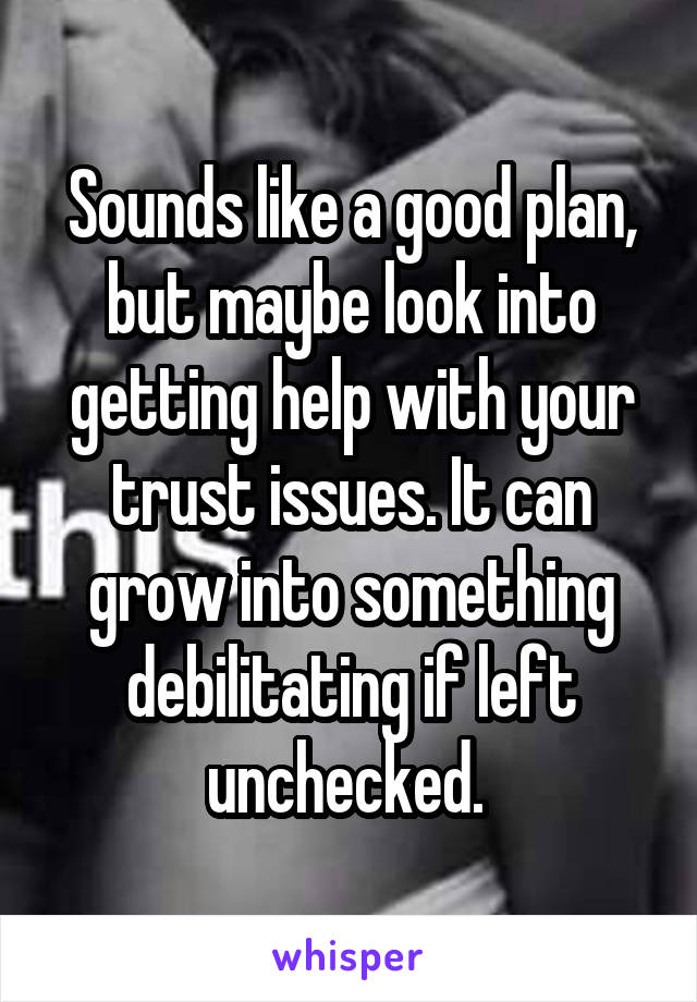Sounds like a good plan, but maybe look into getting help with your trust issues. It can grow into something debilitating if left unchecked. 