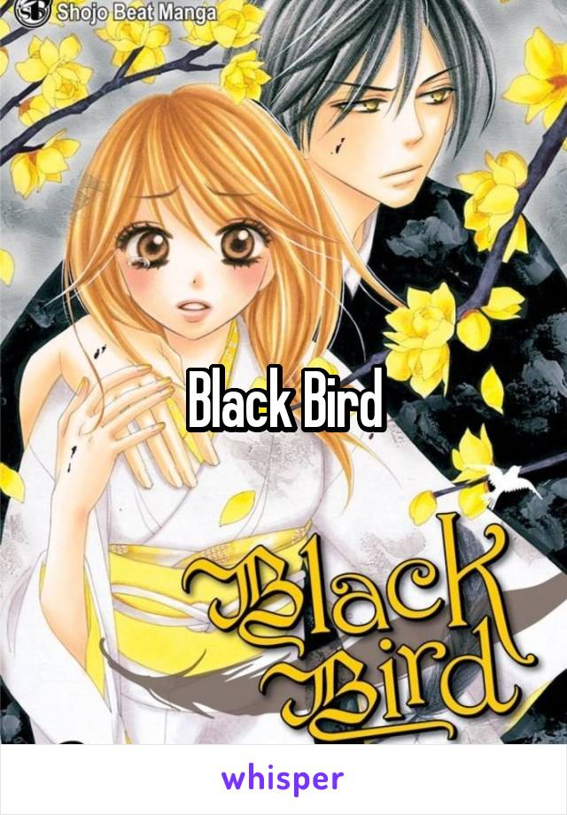 Black Bird