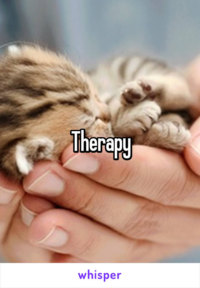 Therapy