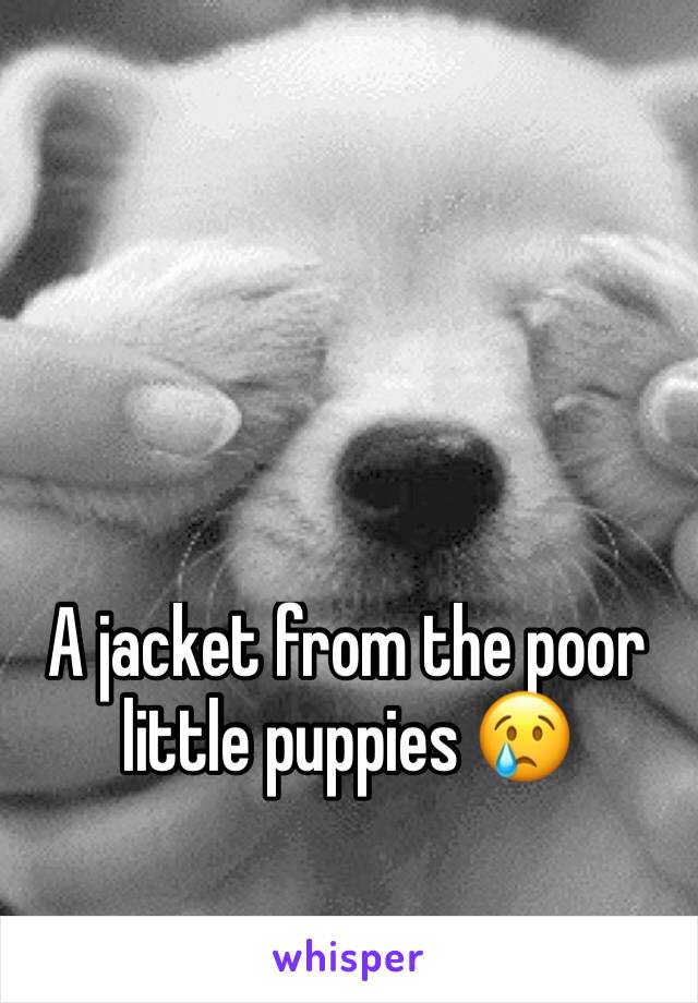 A jacket from the poor little puppies 😢