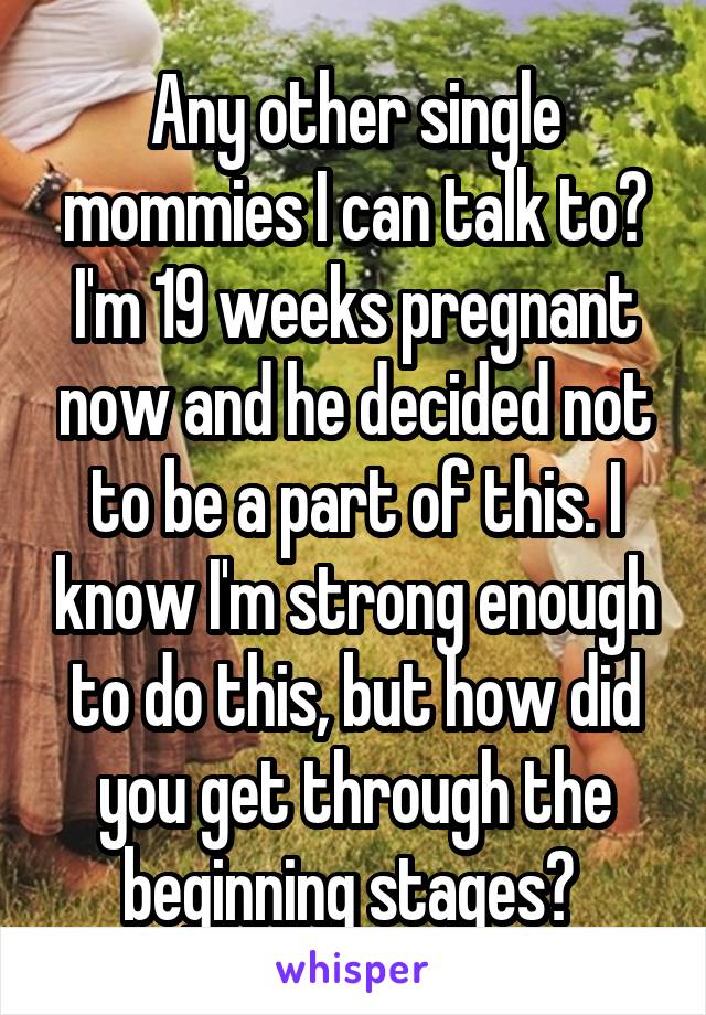 Any other single mommies I can talk to? I'm 19 weeks pregnant now and he decided not to be a part of this. I know I'm strong enough to do this, but how did you get through the beginning stages? 