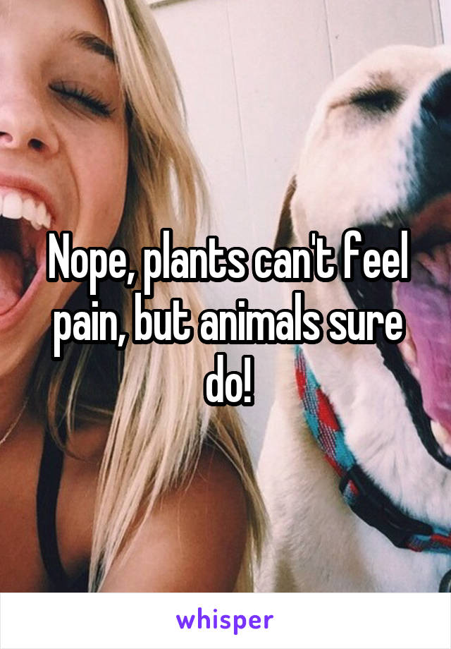 Nope, plants can't feel pain, but animals sure do!