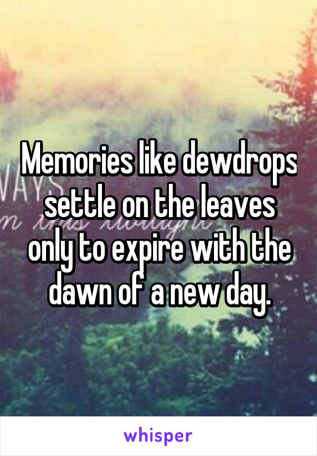 Memories like dewdrops settle on the leaves only to expire with the dawn of a new day.