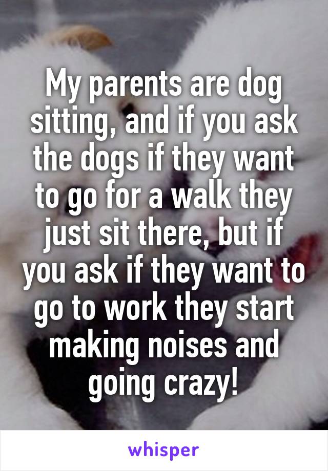 My parents are dog sitting, and if you ask the dogs if they want to go for a walk they just sit there, but if you ask if they want to go to work they start making noises and going crazy!