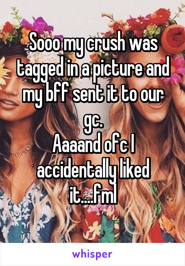 Sooo my crush was tagged in a picture and my bff sent it to our gc.
Aaaand ofc I accidentally liked it....fml
