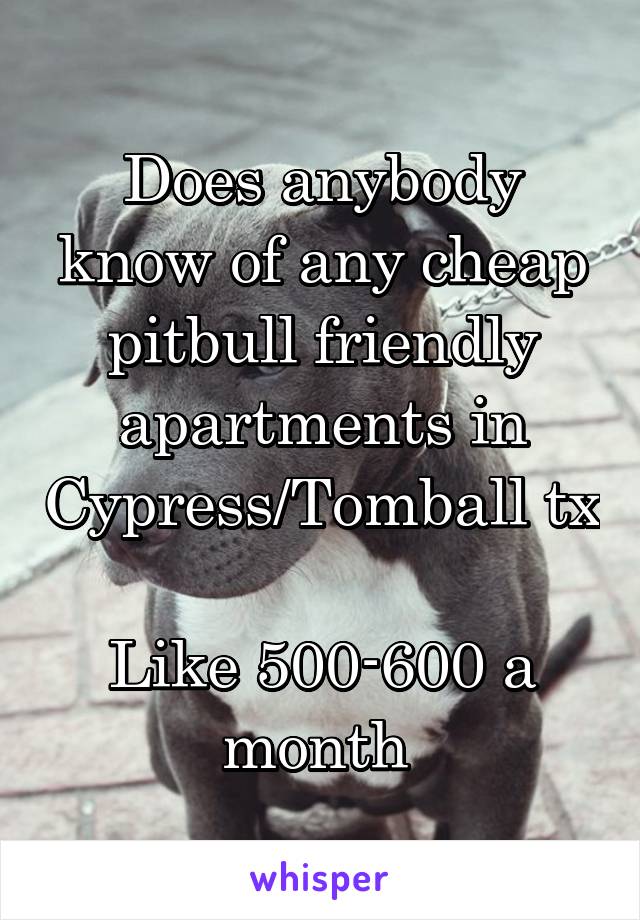 Does anybody know of any cheap pitbull friendly apartments in Cypress/Tomball tx 
Like 500-600 a month 