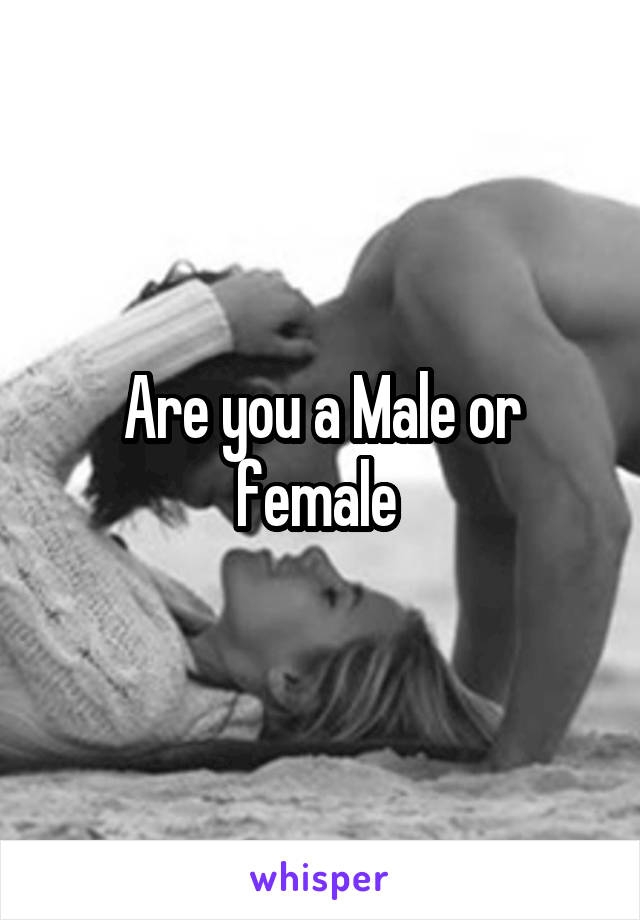 Are you a Male or female 