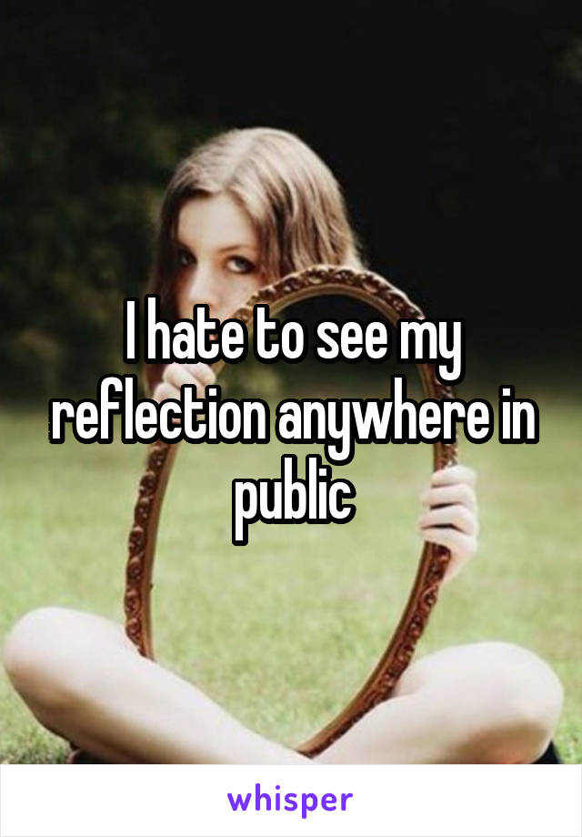 I hate to see my reflection anywhere in public