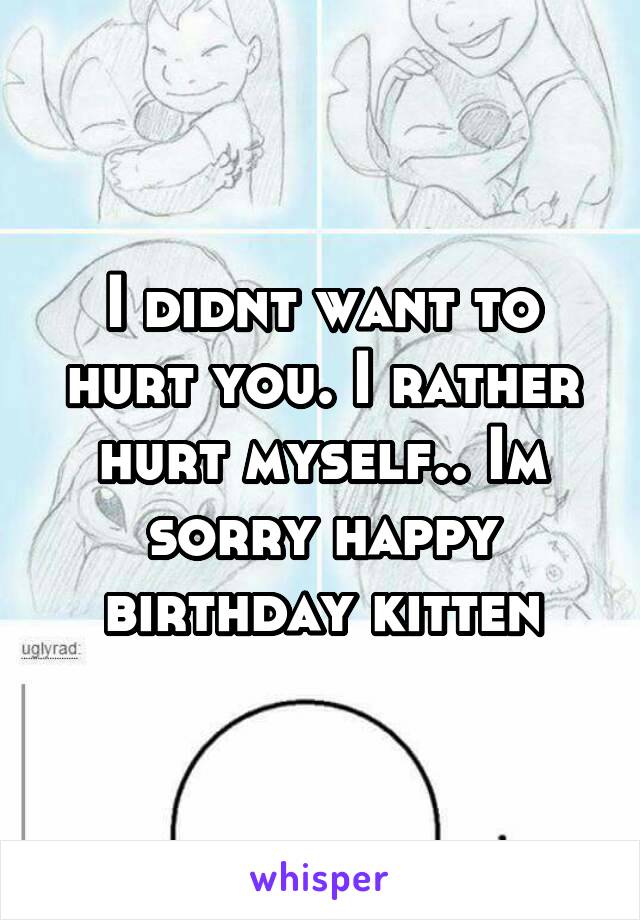 I didnt want to hurt you. I rather hurt myself.. Im sorry happy birthday kitten