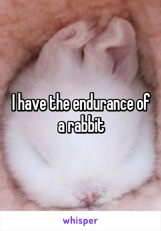 I have the endurance of a rabbit