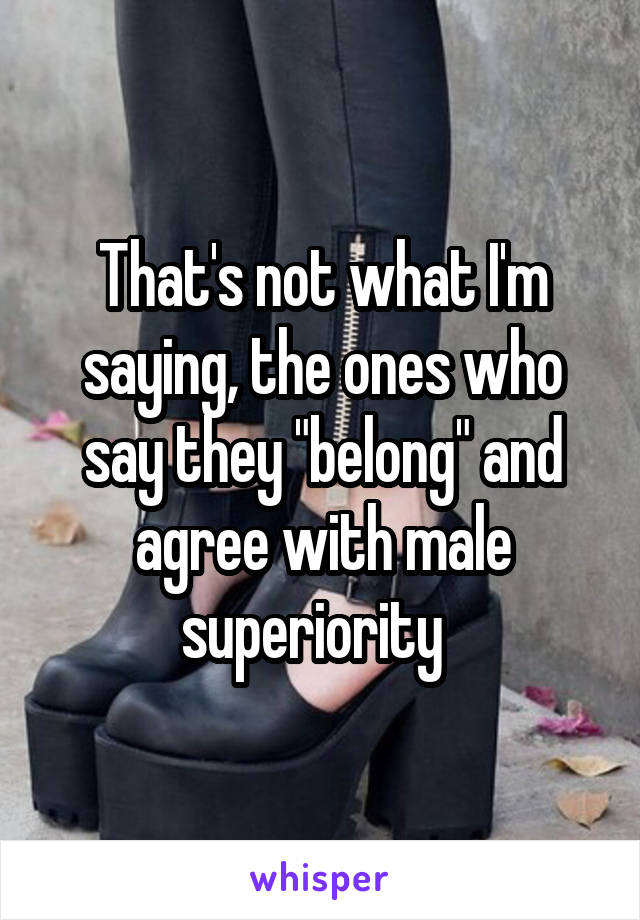 That's not what I'm saying, the ones who say they "belong" and agree with male superiority  