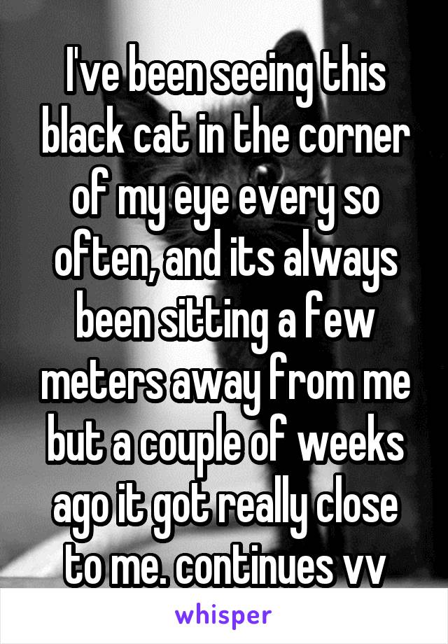 I've been seeing this black cat in the corner of my eye every so often, and its always been sitting a few meters away from me but a couple of weeks ago it got really close to me. continues vv