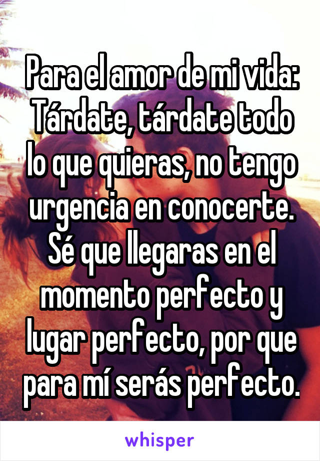 Para el amor de mi vida:
Tárdate, tárdate todo lo que quieras, no tengo urgencia en conocerte. Sé que llegaras en el momento perfecto y lugar perfecto, por que para mí serás perfecto.