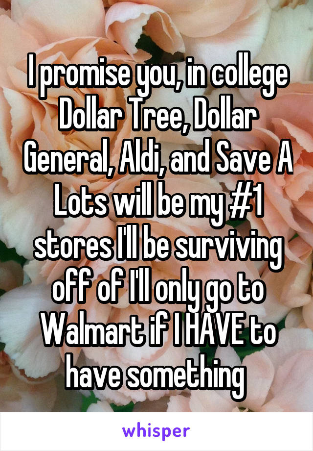 I promise you, in college Dollar Tree, Dollar General, Aldi, and Save A Lots will be my #1 stores I'll be surviving off of I'll only go to Walmart if I HAVE to have something 