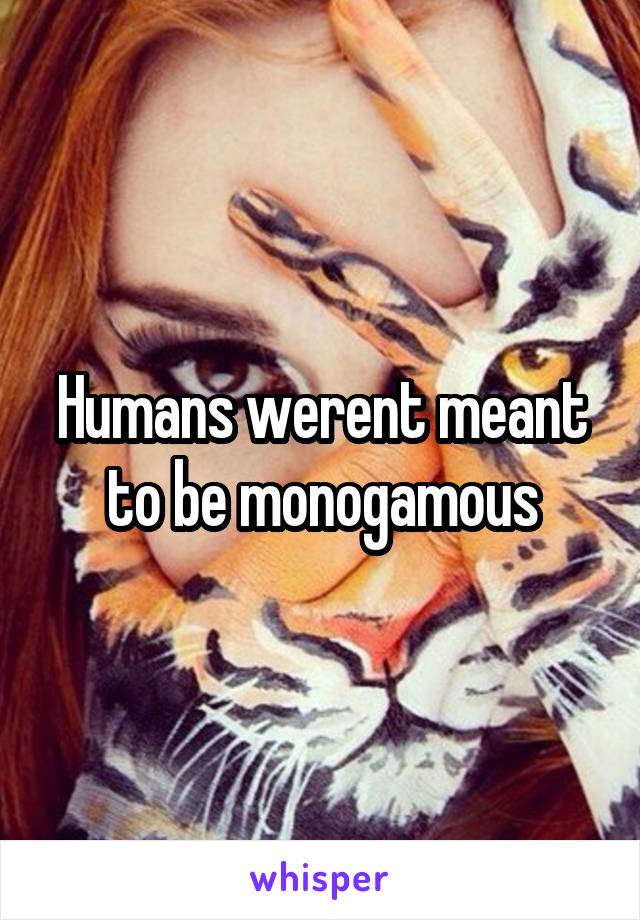 Humans werent meant to be monogamous