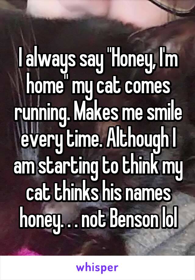 I always say "Honey, I'm home" my cat comes running. Makes me smile every time. Although I am starting to think my cat thinks his names honey. . . not Benson lol
