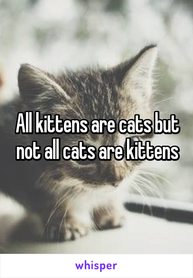 All kittens are cats but not all cats are kittens