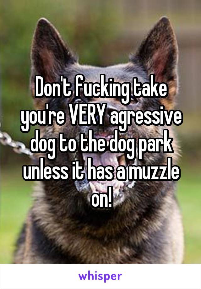 Don't fucking take you're VERY agressive dog to the dog park unless it has a muzzle on!