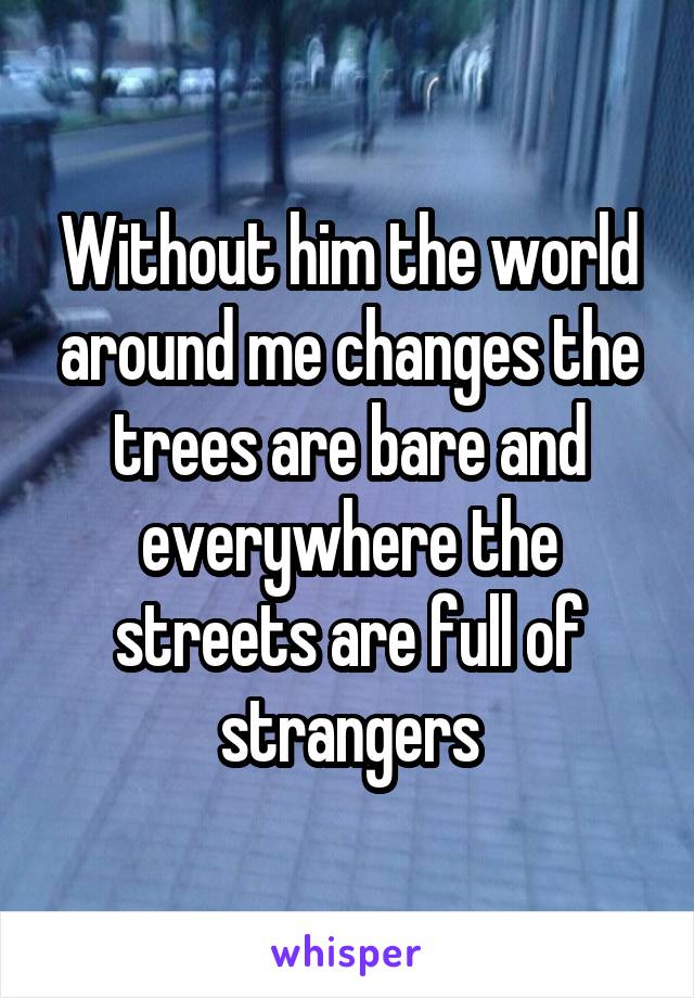 Without him the world around me changes the trees are bare and everywhere the streets are full of strangers