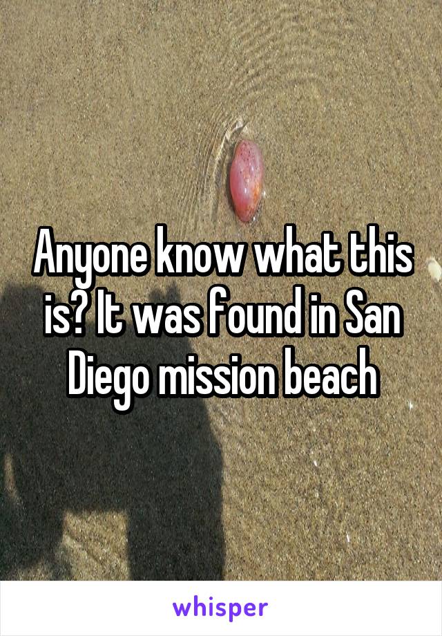 Anyone know what this is? It was found in San Diego mission beach